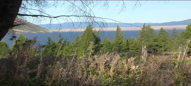 Grabbed Frame 14_1.JPG